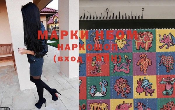 тгк Майский