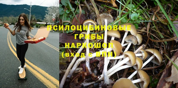 тгк Майский